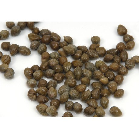 La Verte - 150 gr - Gustave & Léon