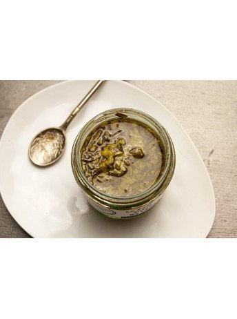 LE BASILIC SACRE DE LEON