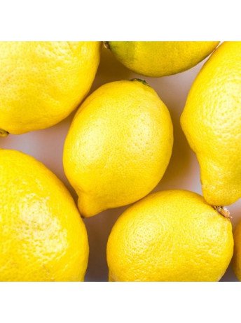 La Noire KALAMATA - 100gr - Gustave & Léon