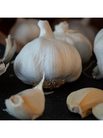 La fameuse Estragonnade de Gustave - 100gr - Gustave & Léon