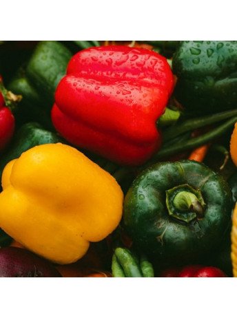 Tartare de Poivrons Confits - Gustave & Léon