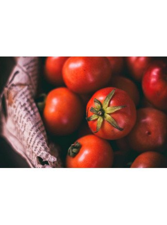 La Rouge - Gustave et Léon