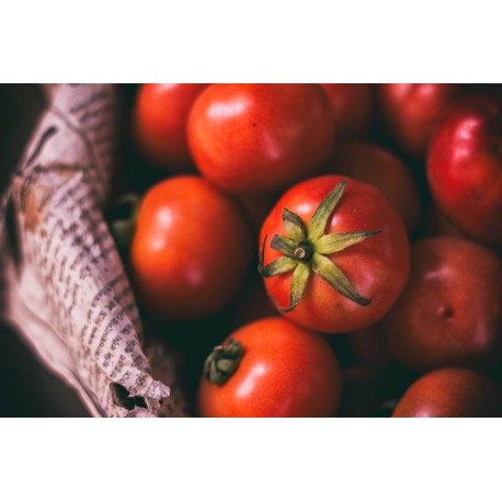 La Rouge - Gustave et Léon